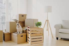 Godda Packers and Movers